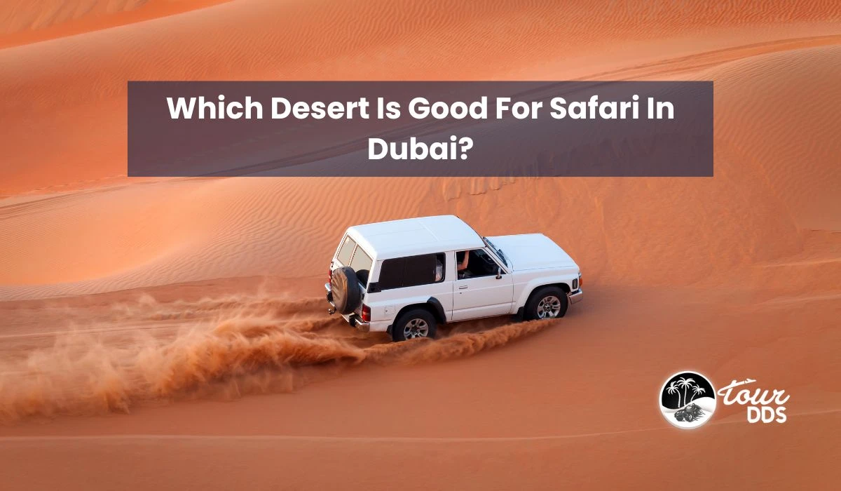 Which Desert Is Good For Safari In Dubai?