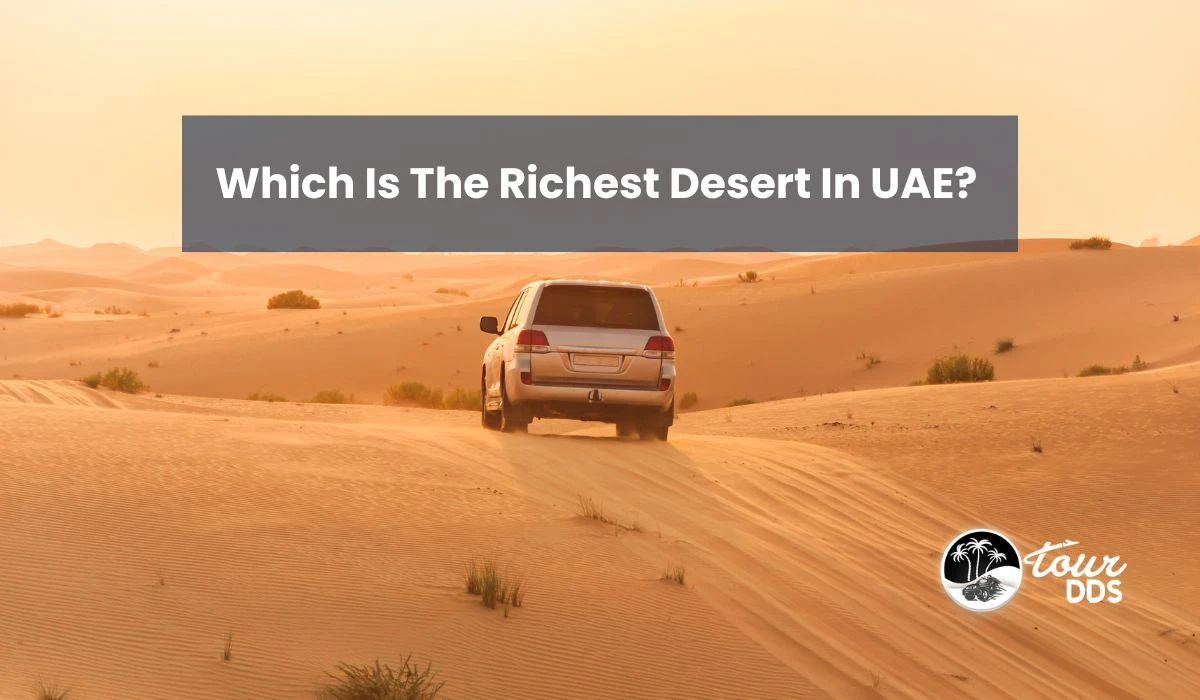 Which Is The Richest Desert In UAE?